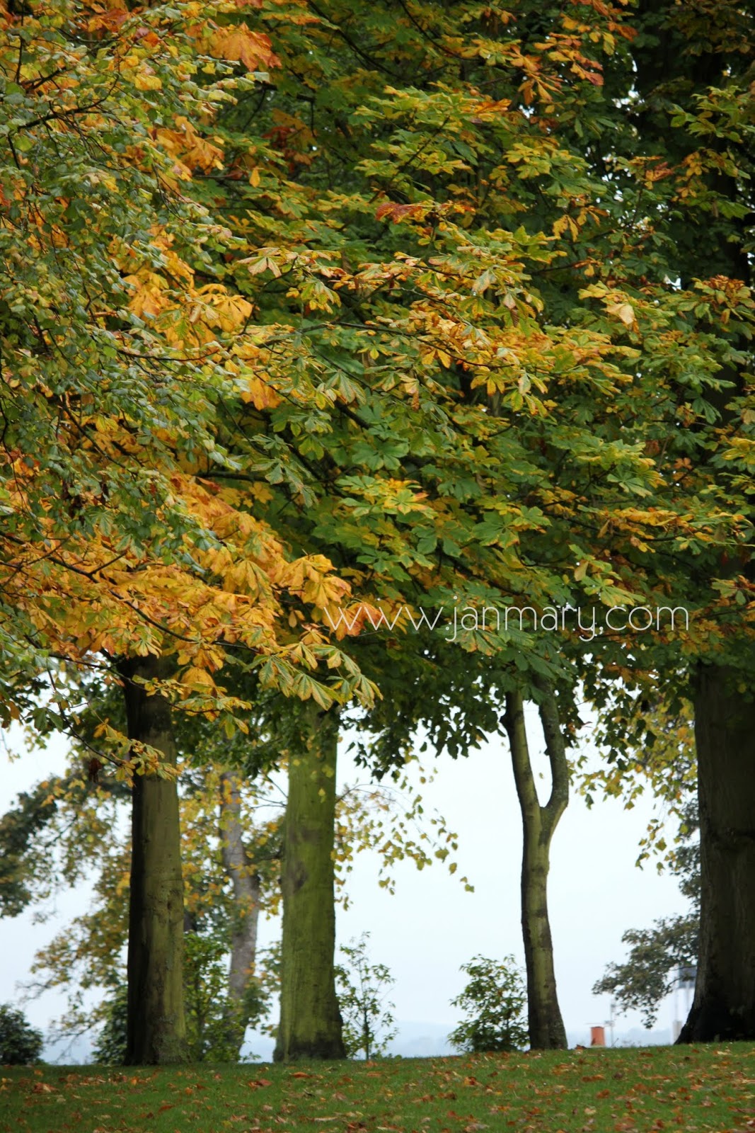 World Of Wheels Boston >> Autumn Colour in Northern Ireland World Of Wheels Boston >> Autumn Colour in Northern Ireland
